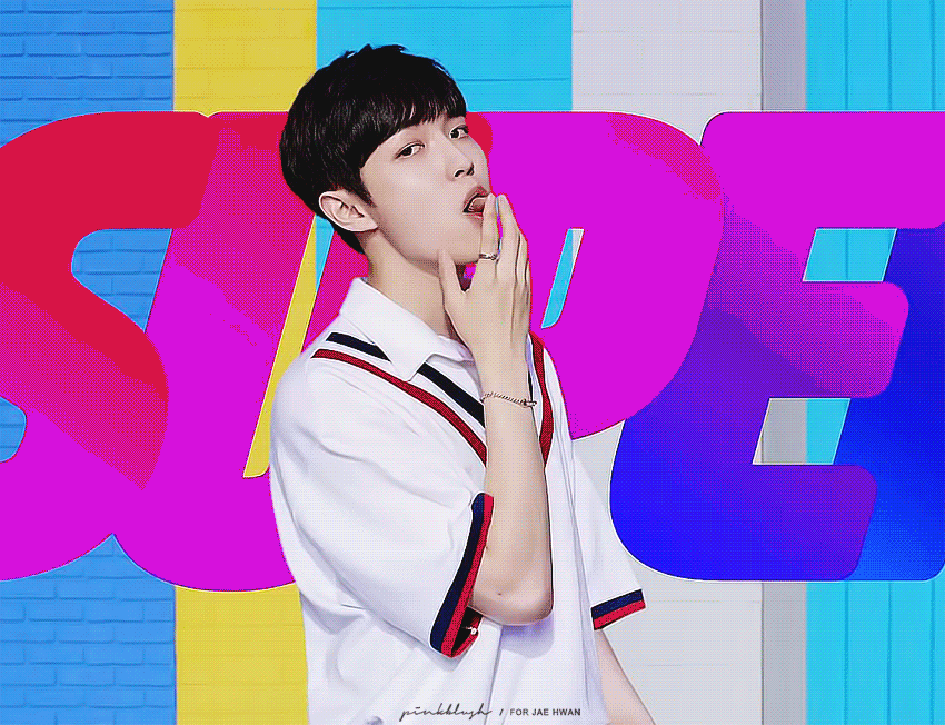 큰방에 다 잘하는 몬모심기(사진움짤 짱 많음주의) | 인스티즈