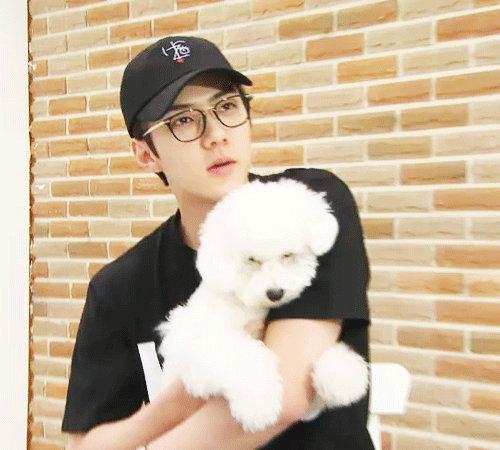 비비는 몬가.. 사람(?)같지 않아..? | 인스티즈