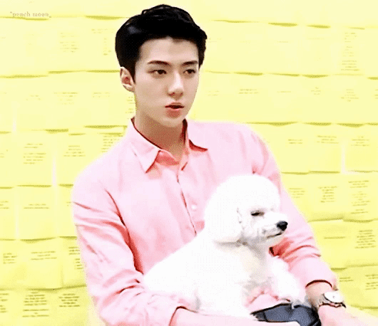 비비는 몬가.. 사람(?)같지 않아..? | 인스티즈