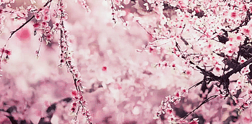 [NCT] 도화원 4 | 인스티즈