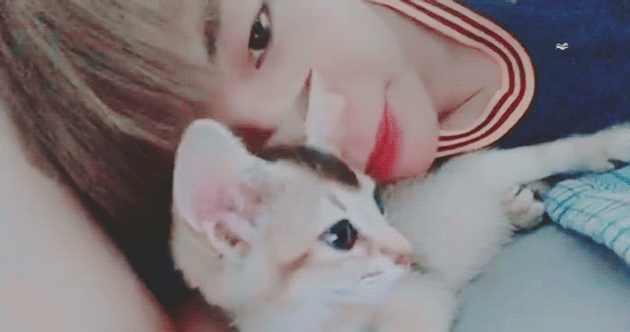 강다니엘네 고양이 진짜 너무 귀여워서 죽을 것 같아 | 인스티즈