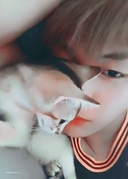 강다니엘 고먐미오빠라궁 | 인스티즈