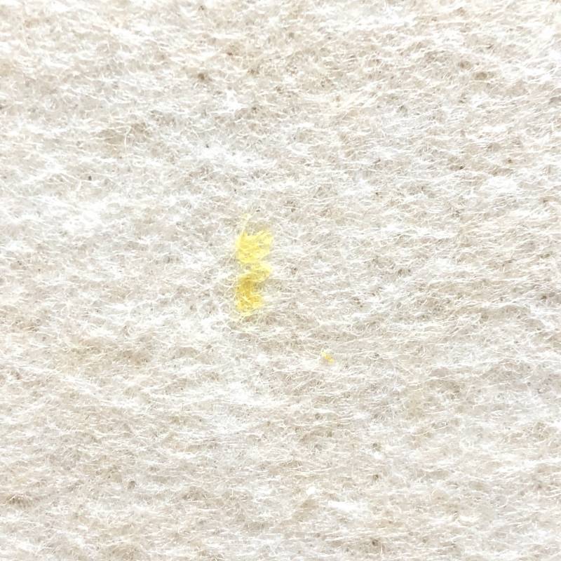 큰일났다x999 벽에 카레묻은거 어떻게 벗겨내는지 아는 익인이들... | 인스티즈