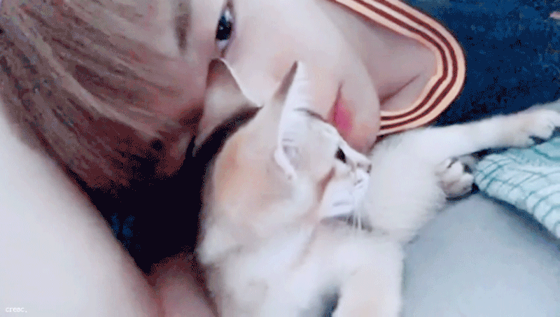 갱대니얼~ | 인스티즈