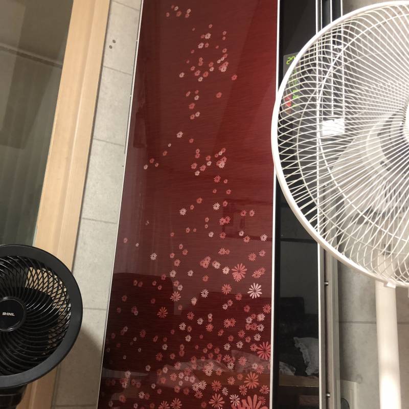 나 지금 엄청 빨리 달리고 있는 댕댕이가 된 기분이야 | 인스티즈