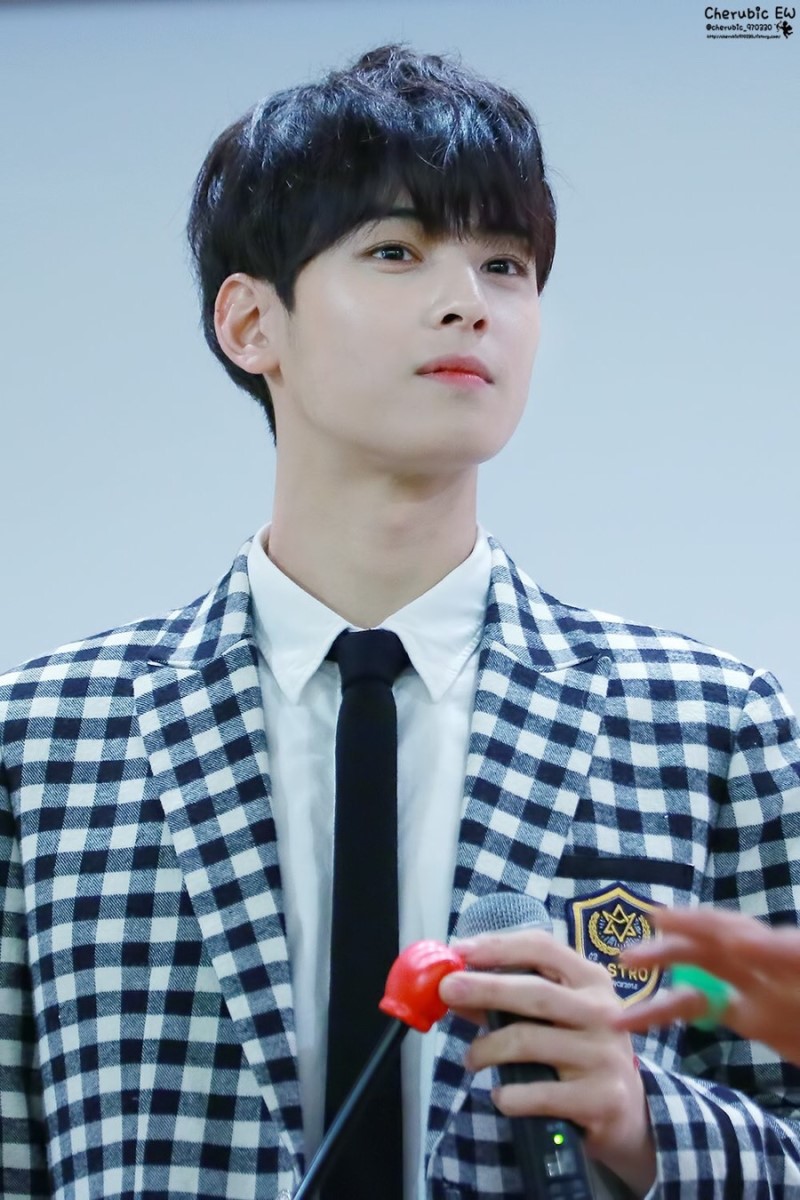 차은우 레전드 짤들로만 모아봣음니다.. | 인스티즈