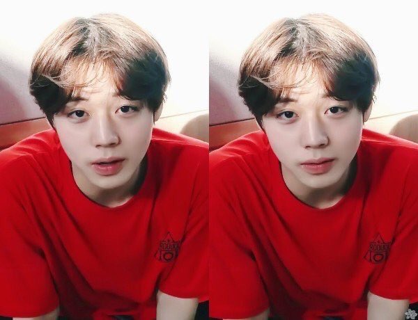 ㄱ 내안의 삼조 녤윙 이미지 | 인스티즈