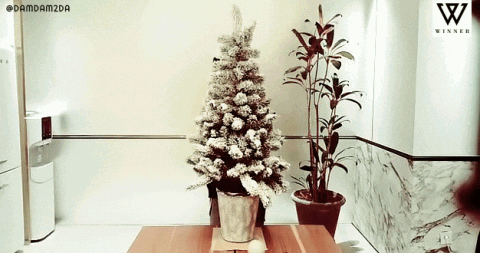 위너 짤털해야지 | 인스티즈