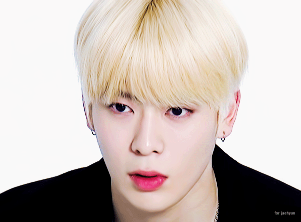 아니 정재현 ㄹㅇ 플라스틱 선인장에 물주면서 | 인스티즈