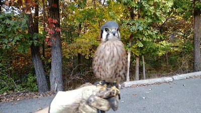 자네 전생이 혹시... | 인스티즈