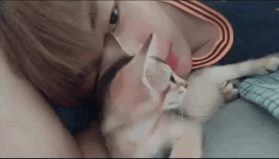 다니엘 놀아주는 오리보고싶다 | 인스티즈