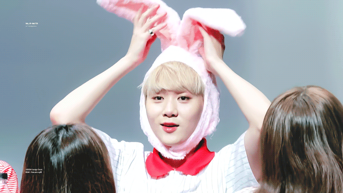 부승관 보고싶다아아아아악 | 인스티즈