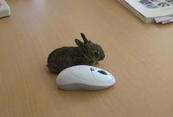 영상 편집하는 방탄 정국이 좀 봐줘 | 인스티즈