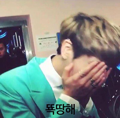 아 샤이니 콘서트 가고싶어 | 인스티즈