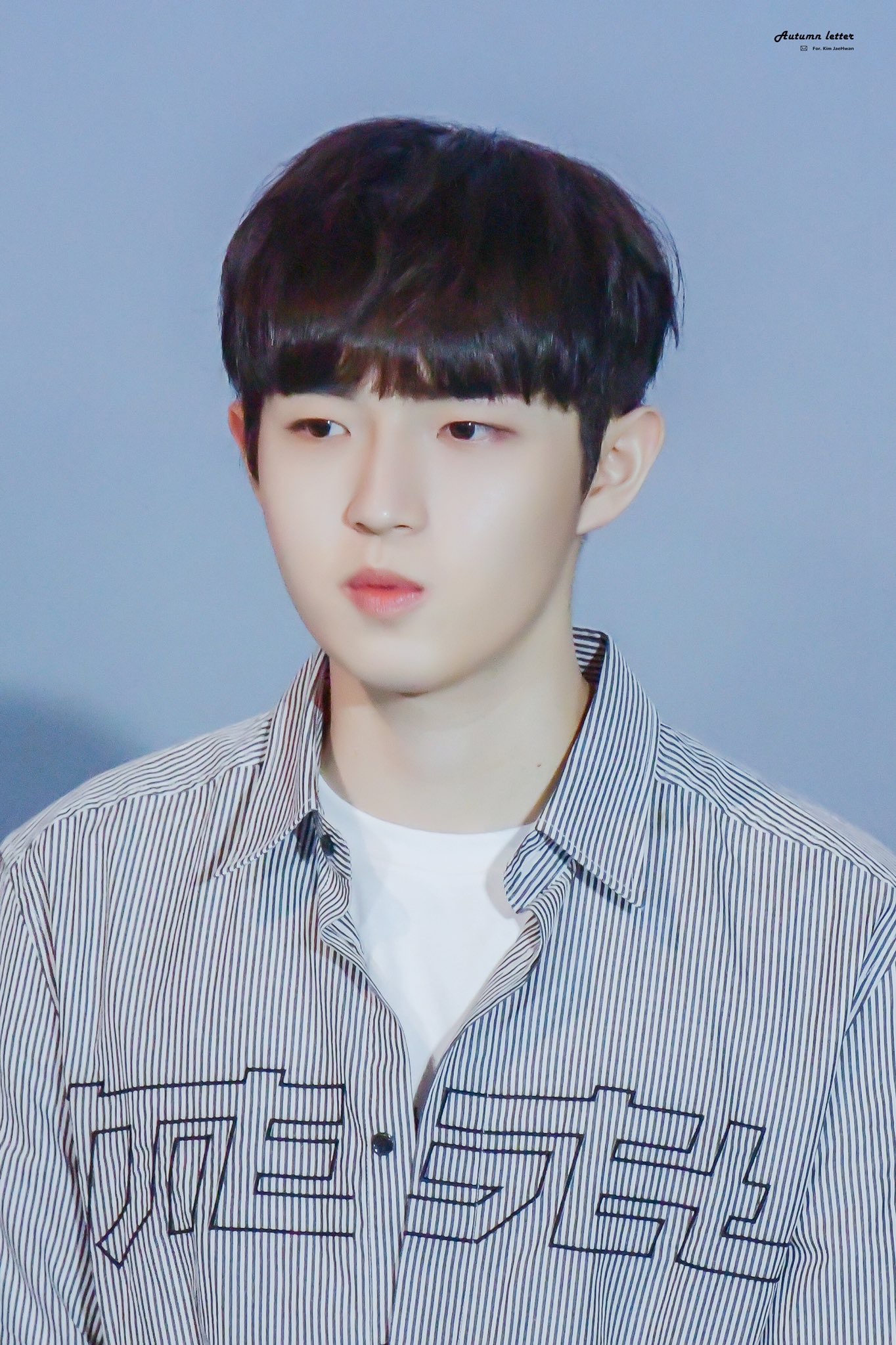 김재환 찐멍뭉이같은 얼굴 너무 좋아ㅠㅠㅠㅠㅠㅠㅠㅠ | 인스티즈