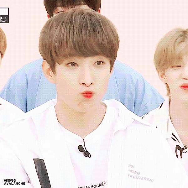 동화책 읽어주는 아이돌이라니... (주어 세븐틴 도겸) | 인스티즈