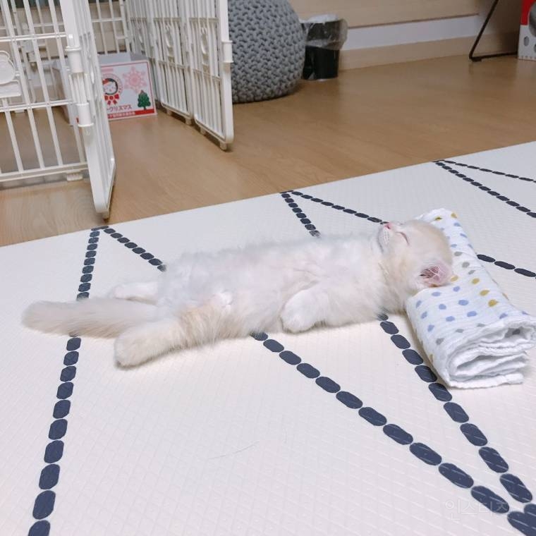 너.. 사람이지? | 인스티즈