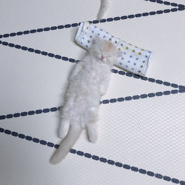 너.. 사람이지? | 인스티즈