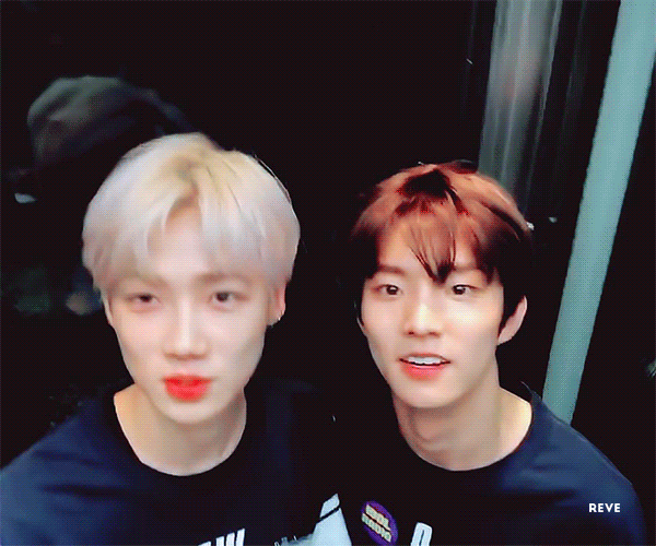 [정리글] 아이돌 그룹 내 동갑 멤버끼리 평생 친구가 되는 것 | 인스티즈