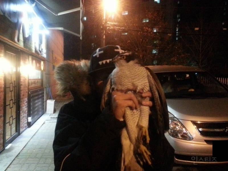 간만에 보는 디씨인의 새줍 | 인스티즈