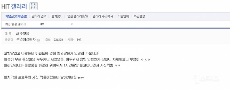 간만에 보는 디씨인의 새줍 | 인스티즈