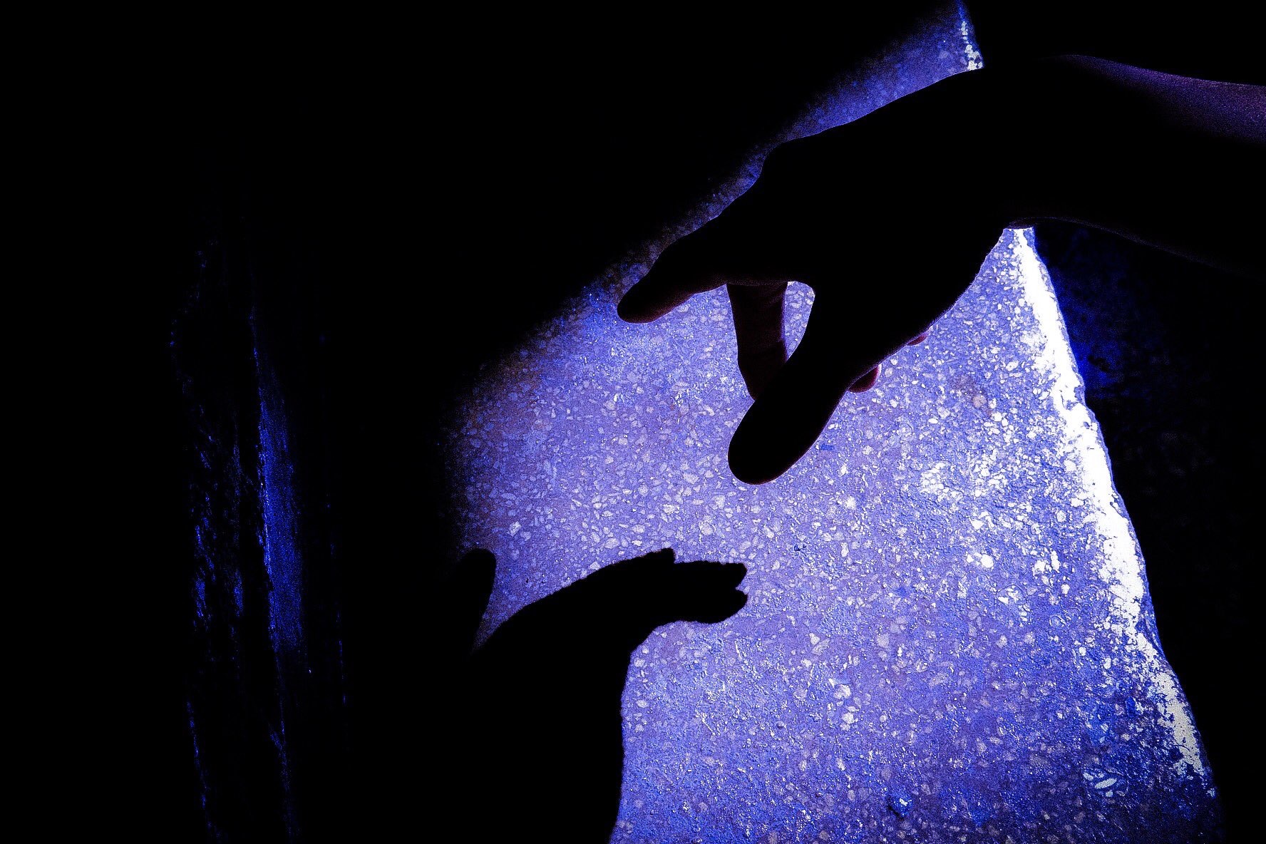 텐은 춤만 잘추는 게 아님 그림이랑 사진도 쩔어 | 인스티즈