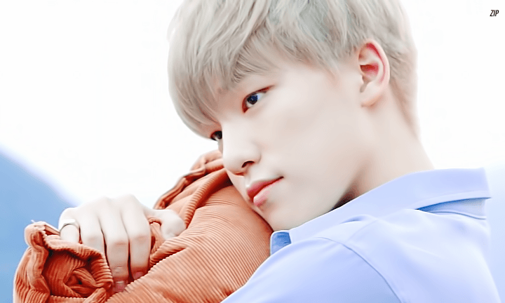 본진에 수달 있어? | 인스티즈