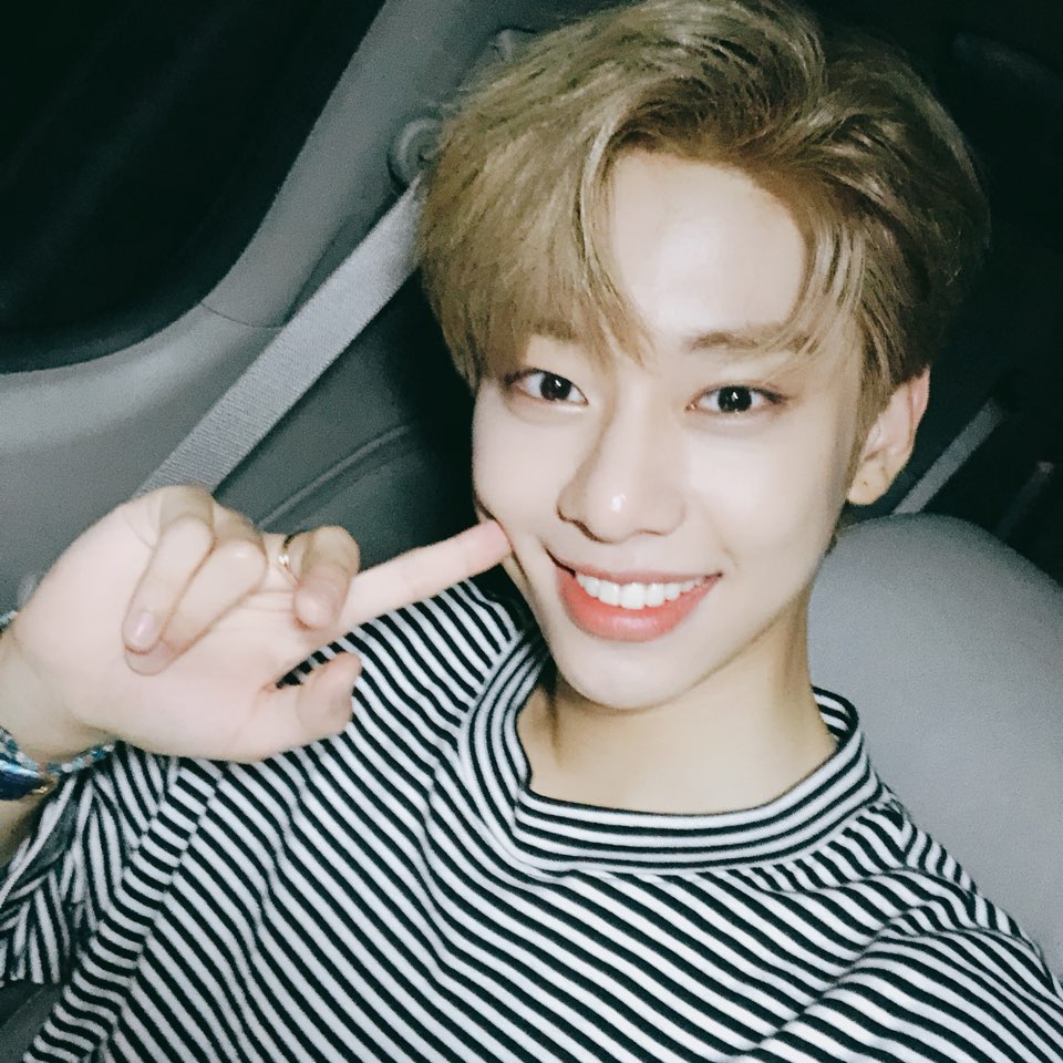 제 소나무 취향에 맞는 아이돌을 찾아줄사람 | 인스티즈