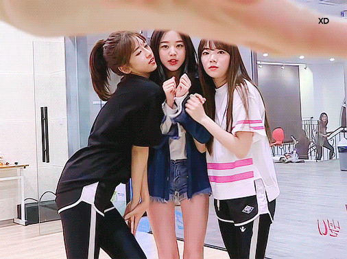 원영이 언니들한테 치대고 서로 장난치고 예쁨받는거 보일때마다 넘 좋아 | 인스티즈