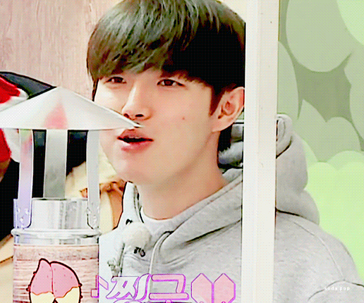 큰방에 다 잘하는 몬모심기(사진움짤 짱 많음주의) | 인스티즈