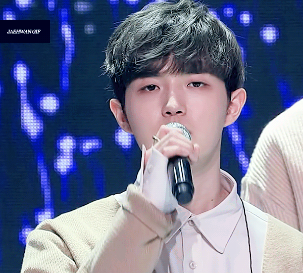 큰방에 다 잘하는 몬모심기(사진움짤 짱 많음주의) | 인스티즈