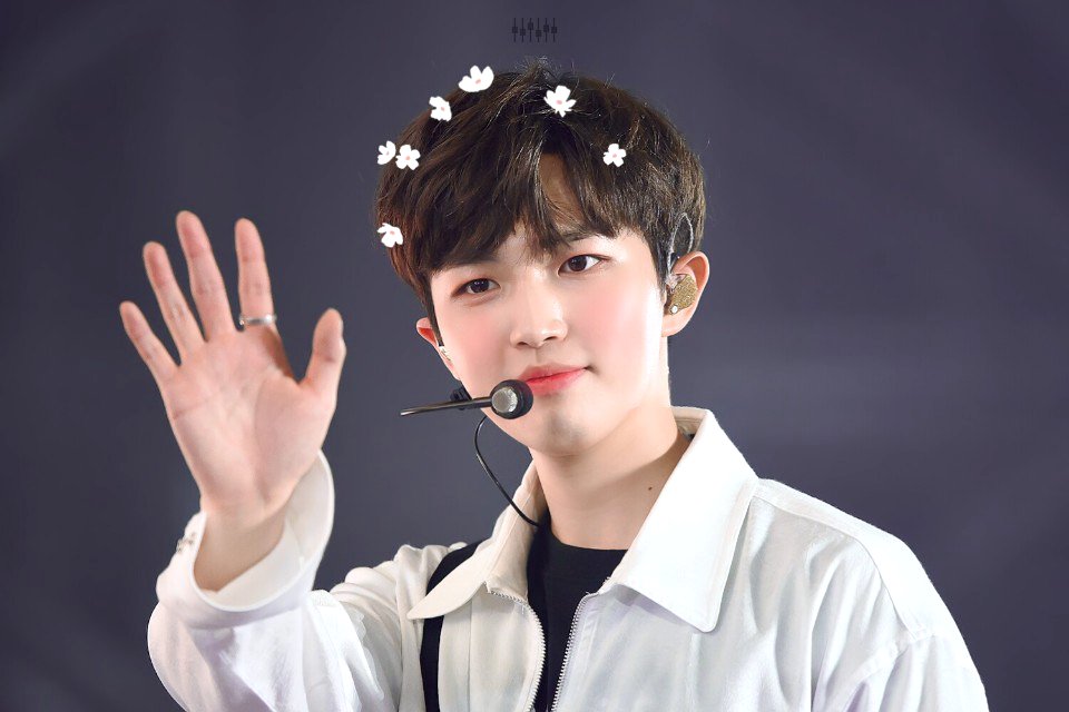 큰방에 다 잘하는 몬모심기(사진움짤 짱 많음주의) | 인스티즈