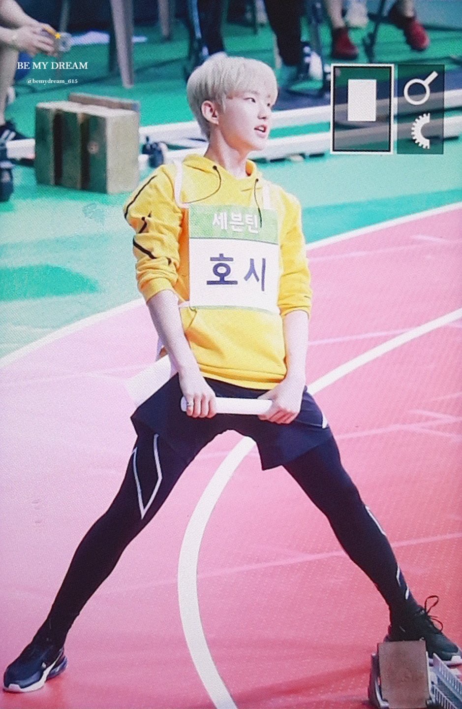 호시 개 마른 거 실감짤 | 인스티즈