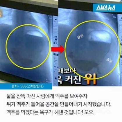 여자의 밥 배와 간식 배의 진실 | 인스티즈