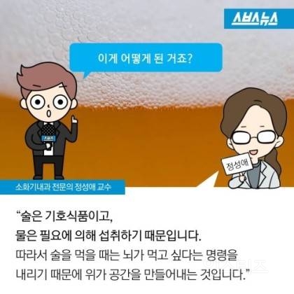 여자의 밥 배와 간식 배의 진실 | 인스티즈
