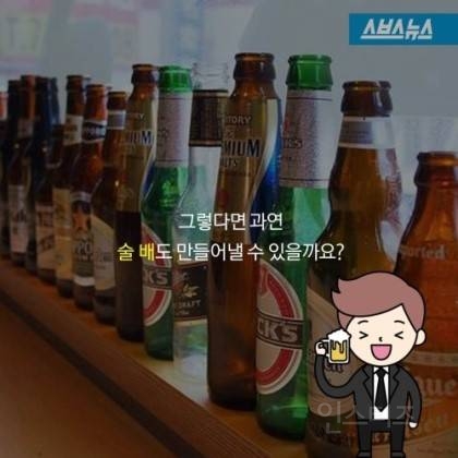 여자의 밥 배와 간식 배의 진실 | 인스티즈