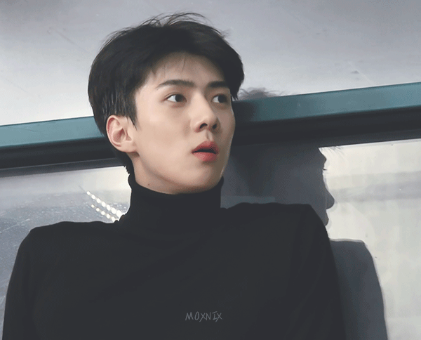 세훈이는 고양이상 강아지상 아니고 | 인스티즈