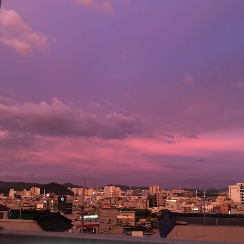 하늘이 보라보라핑크핑크해 ㅠㅠㅠ 💜💜💜💜🌸🌸🌸🌸 - 인스티즈(instiz) 일상 카테고리