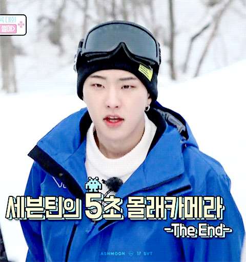 호시 이 짤 슬기 닮지 않았어? | 인스티즈