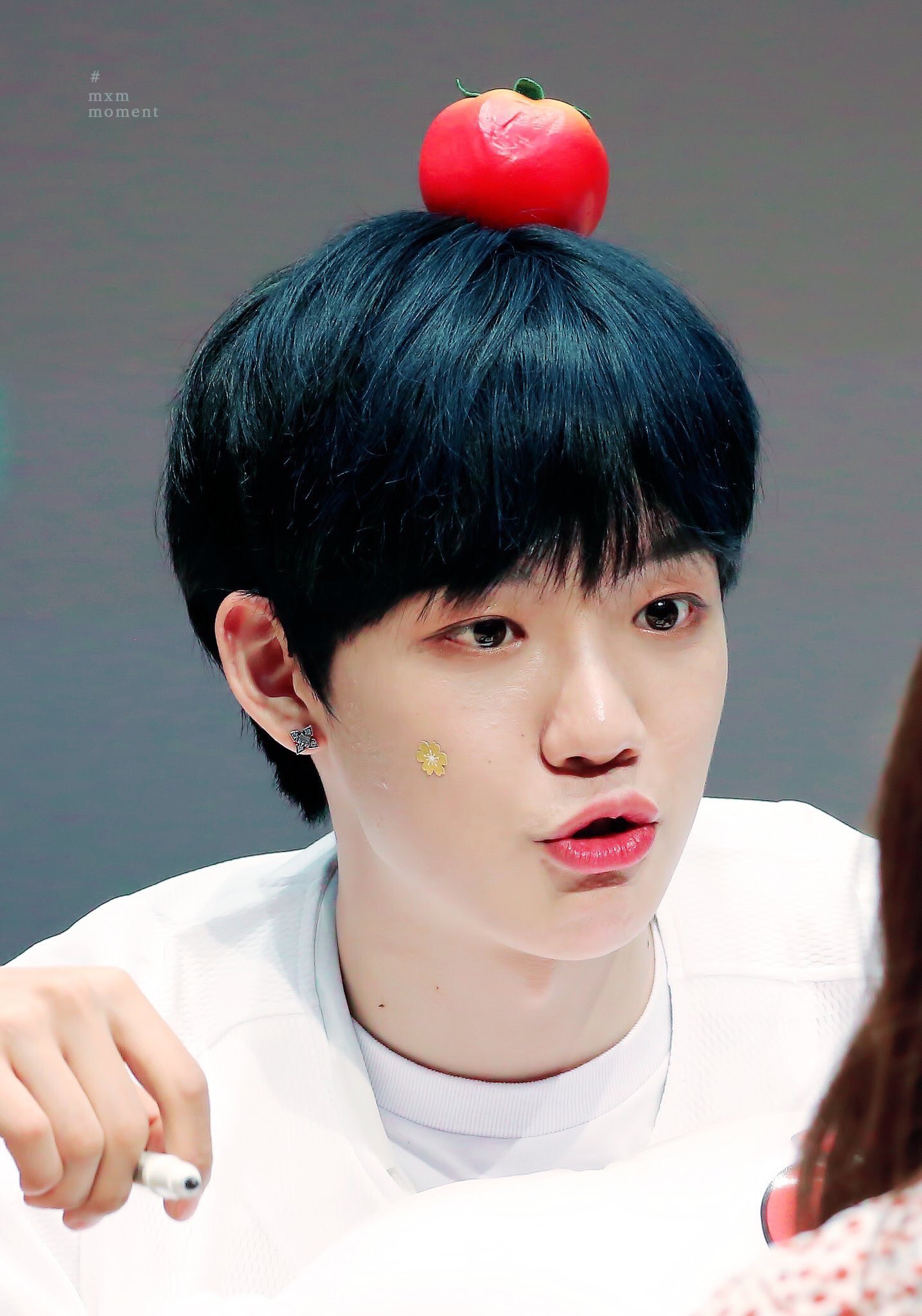 나두 본진 제외하고 사진 저장한 돌들 | 인스티즈