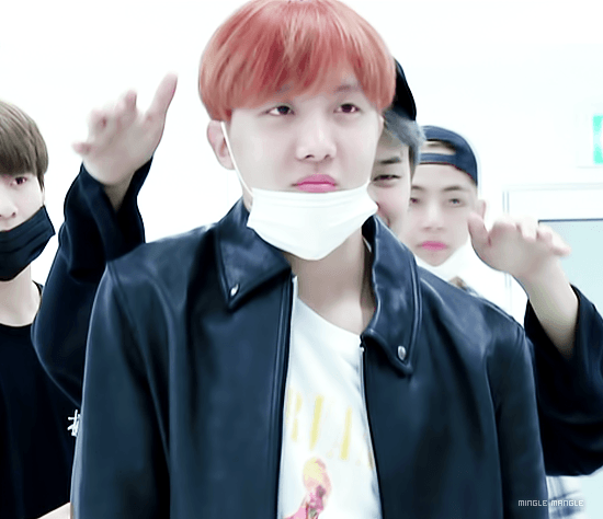 제이홉 사슴이다 vs 다람쥐다 | 인스티즈