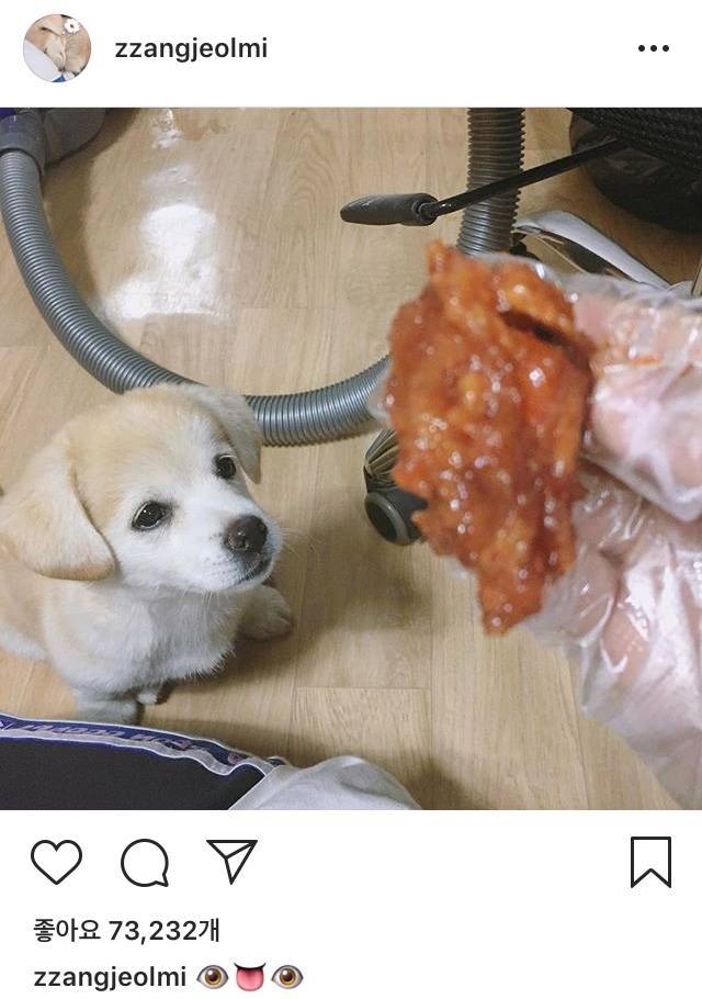 비정상회담) 이거 보고 맠장 생각나면 노답인가?ㅎㅎ | 인스티즈