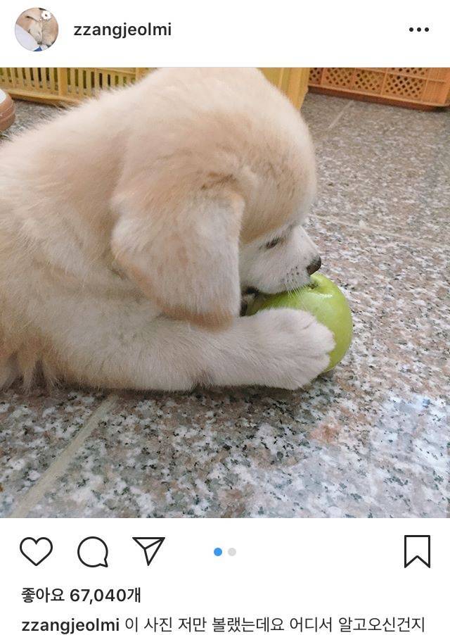 비정상회담) 이거 보고 맠장 생각나면 노답인가?ㅎㅎ | 인스티즈