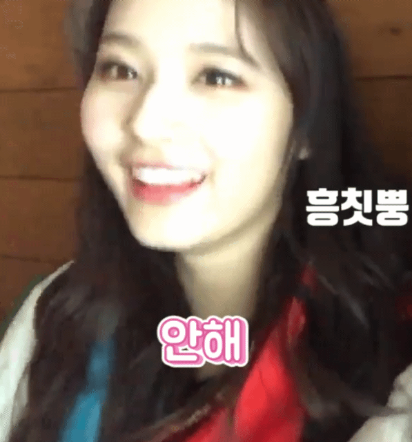 트와이스 사나가 혜리에게 보낸 선물.jpg | 인스티즈