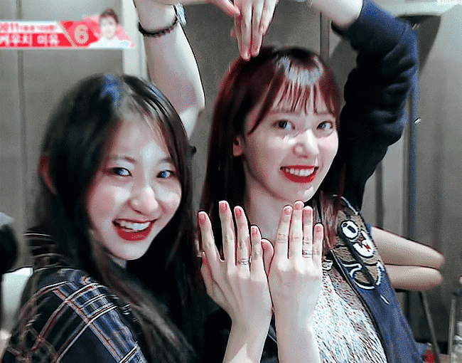 사쿠라랑 채연은 알페스는 아니고 진짜 관계성이 흥할거 같아 | 인스티즈