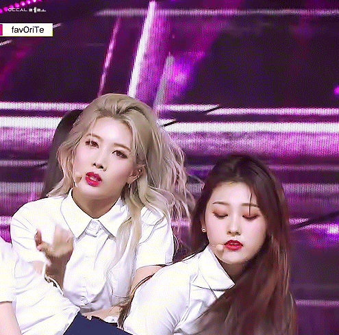 짱달소 모음 (짤 진짜진짜 많음) | 인스티즈