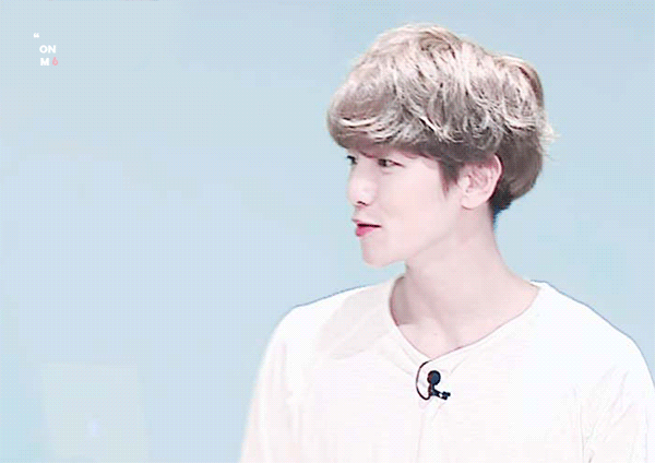 변백현 진짜 내 이상형의 표본이다; | 인스티즈