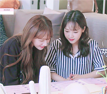 하니와 최유정 하루만에 장족의 발전이다 진짴ㅋㅋㅋㅋㅋㅋㅋㅋ | 인스티즈