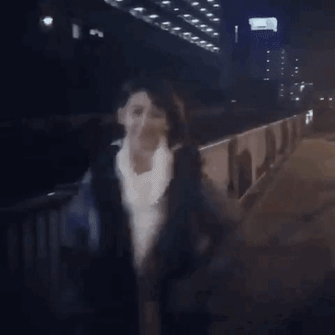 댕댕이 사쿠라 볼 사람? | 인스티즈