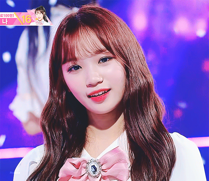 나 여돌 덕질은 처음이라 너무 떨리는걸....? 다들 아이즈원 김채원 하세요 | 인스티즈